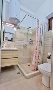 a bathroom with a shower and a toilet and a sink at Downtown Apartment in Berat