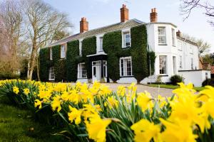 a house with yellow flowers in front of it at The Grove Cromer in Cromer