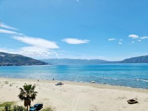 a beach with a palm tree and the ocean at Sky - Apartment - Brown in Vlorë