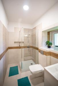 a bathroom with a shower and a toilet and a sink at Apartament przy Parku in Duszniki Zdrój