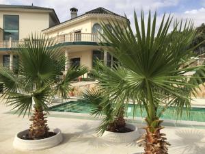 Bazén v ubytovaní La Casa del Tejado Verde Toledo alebo v jeho blízkosti