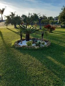 una pequeña isla en medio de un campo con árboles en B&B Casa Mare Paestum, en Paestum