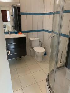 Un baño con inodoro, lavabo y ducha. en Les Lianes De Mysore, en Deshaies