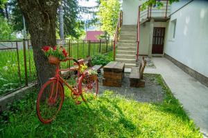 Jardín al aire libre en Apartments Grbović