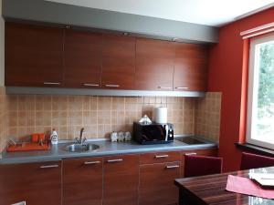 a kitchen with wooden cabinets and a sink at Una in Vrnjačka Banja