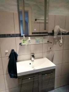 Ferienwohnung Hermann-Daur-Weg tesisinde bir banyo