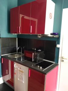 uma pequena cozinha com armários vermelhos e um lavatório em Le Central Vittel 206 em Vittel