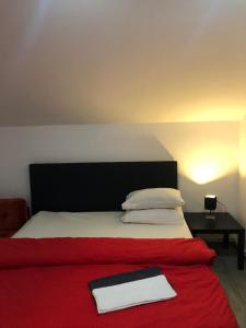 1 dormitorio con 1 cama con manta roja en CASA BARZA en Orăştie
