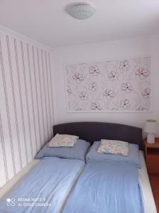 Gallery image of Sárgapart Holiday Home in Poroszló