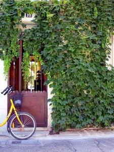 un vélo jaune garé devant un bâtiment dans l'établissement Chambre d'hôte Farniente, à Aigues-Mortes