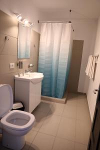 ein Bad mit einem WC, einem Waschbecken und einer Dusche in der Unterkunft Hotel Dunavis in Orşova