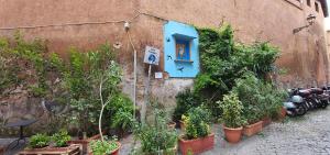 A garden outside Enchanting loft in Trastevere