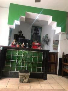 a room with a counter with a potted plant at Green Monkey Hostel in Flores