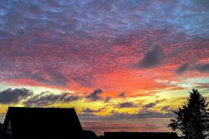 Φωτογραφία από το άλμπουμ του The Turtle Nest σε Λίνκολν Σίτι