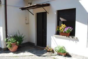 una porta d'ingresso di una casa con piante in vaso di La casetta del nonno Giampi a Sesto Calende