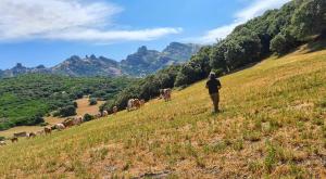 Galeriebild der Unterkunft Agriturismo La Cresta in Arbus