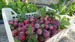 a basket filled with lots of red fruits and vegetables at Beliving House in Mandra Capreria