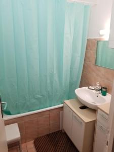 uma casa de banho com um lavatório e uma cortina de chuveiro em La Traboule Vieux Lyon em Lyon