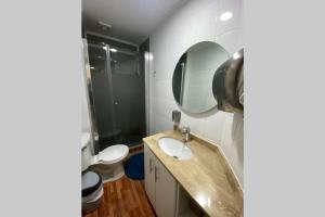 un bagno con lavandino, specchio e WC di Depto Privado Temuco Centro a Temuco