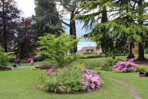 einen Park mit rosa Blumen im Gras in der Unterkunft FREEDOM in Bellagio