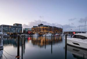 奧克蘭的住宿－Park Hyatt Auckland，码头,在水中和建筑物中设有船只