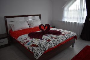 Galeriebild der Unterkunft Pensiunea Casa Mădă in Baia de Fier