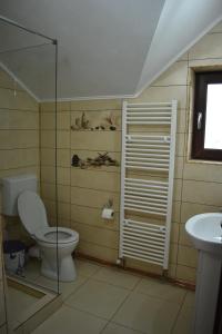 Galeriebild der Unterkunft Pensiunea Casa Mădă in Baia de Fier