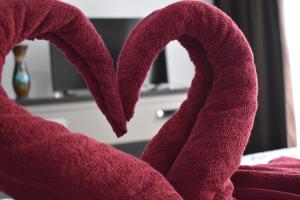 Galeriebild der Unterkunft Pensiunea Casa Mădă in Baia de Fier + 37 Fotos