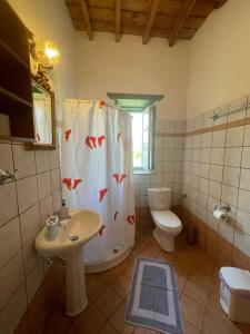 a bathroom with a shower curtain with a toilet and a sink at Patmos Villas in Grikos