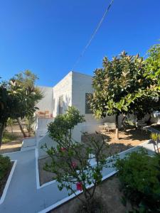 uitzicht op het huis vanuit de tuin bij Patmos Villas in Grikos