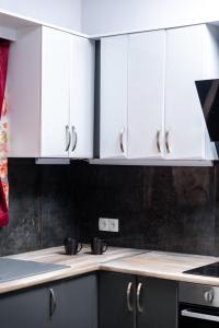 Kuchyň nebo kuchyňský kout v ubytování AlexandRos Home