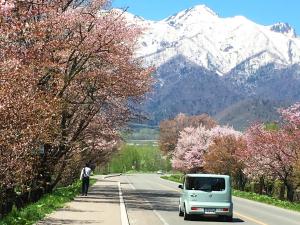a white truck driving down a road with mountains in the background at Pension Hoshi Ni Negaiwo in Furano
