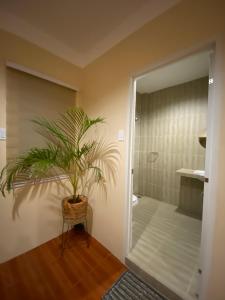 a bathroom with a plant in a basket next to a shower at J & C Beach Resort in San Remigio