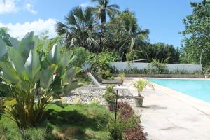a garden with a swimming pool and palm trees at J & C Beach Resort in San Remigio
