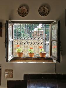 una finestra aperta con piante in vaso su un davanzale di Casa independiente y completa con una habitación "Venta de Cidones" a Cidones