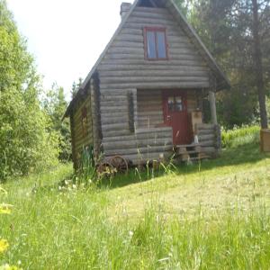 a small log cabin with a red door in a field at Pähnamäe metsamajake in Ruusmäe