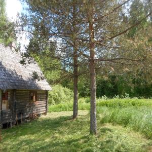 ルースメにあるPähnamäe metsamajakeの古屋と畑の木
