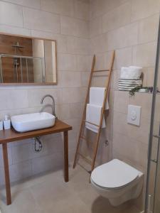 Un baño con lavabo, inodoro y espejo. en apartman_maree, en Herceg-Novi 24 fotos más