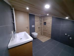 a bathroom with a sink and a shower and a toilet at Liva Teras uzungöl in Uzungol
