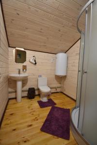a small bathroom with a toilet and a sink at Мигдаль Маєток in Svityazʼ +45 photos