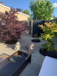 un jardín con una fuente en medio de un patio en B&B Chez Jaika Chambre d hotes, en Belleville-en-Beaujolais