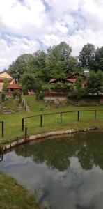 a pond in a yard with a fence and houses at Pensiune Piatra Mare in Nehoiu