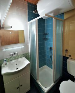 a bathroom with a shower and a sink and a toilet at Apartma Svizec Rogla in Zreče