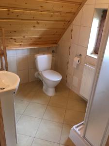a bathroom with a toilet and a wooden ceiling at Domek Letniskowy in Zubrzyca Dolna