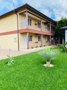 a house with a green lawn in front of it at Casa Eva in 2 Mai