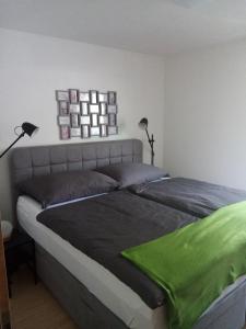 Gemütliches Apartment in Landeck في لاندك: غرفة نوم بسريرين عليها بطانية خضراء