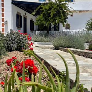 Vonkajšia záhrada v ubytovaní Drymonas Heights Kythira Traditional Volto