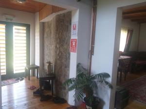 Φωτογραφία από το άλμπουμ του Pensiunea Carma σε Certeju de Sus