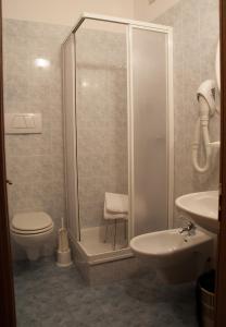 La salle de bains est pourvue d'une douche, de toilettes et d'un lavabo. dans l'établissement Albergo Italia, à Molveno