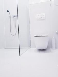 a white bathroom with a shower and a toilet at Brno apartment in Brno